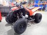 Can-Am DS 250 2006+