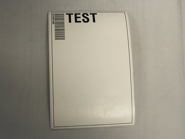 The labels should look like the examples listed here.