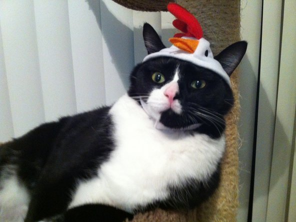 Wait for the epoxy to dry.