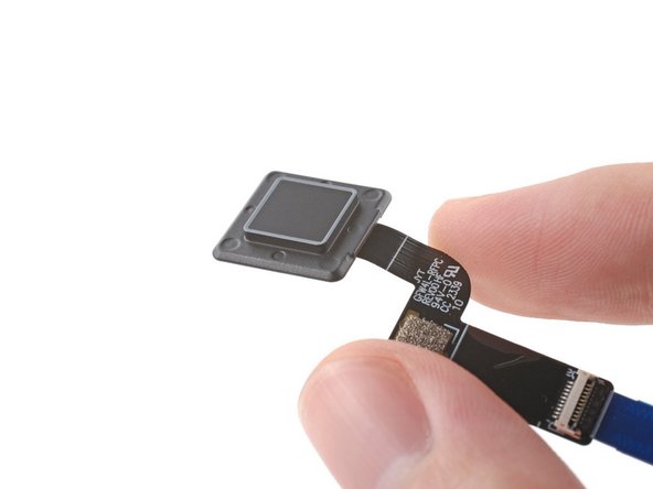 Lift the fingerprint reader out of its slot in the ventilation plate and remove it.