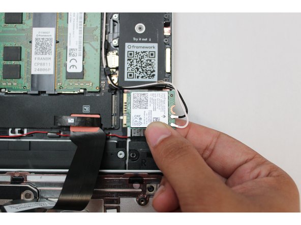 Tip: You may have to lift it up using one finger to properly be able to grip it to fully remove it from the socket.