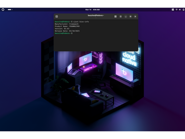 The output will tell you which Framework Desktop you have and also which BIOS version you're using. This section is best suited for both LVFS and EFI options, depending on your hardware. While LVFS is part of the Bazzite update process, you can still do this manually as well.