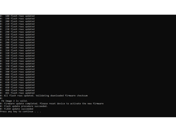 The Flash process will be started automatically.