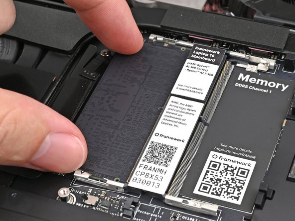 Insert the contact edge into the socket at a shallow angle. The gold contacts should mostly be covered by the socket.