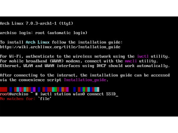 Once booted into a live environment, a command line is presented automatically logged in with the root account to provide full admin access.