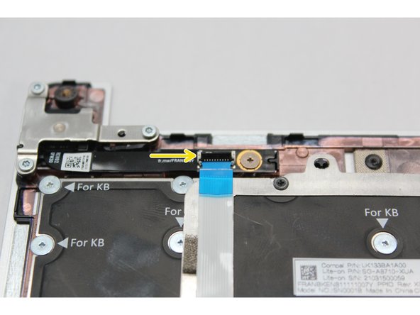 Lift the black latch up using your fingernail or spudger end of the Framework Screwdriver and pull the cable straight out.