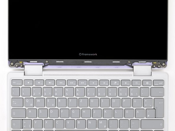 These screws are not captive. Store them in a safe location for reassembly.