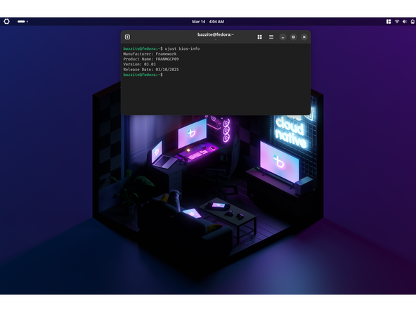 The output will tell you which Framework Laptop 13 you have and also which BIOS version you're using. This section is best suited for both LVFS and EFI options, depending on your hardware. While LVFS is part of the Bazzite update process, you can still do this manually as well.