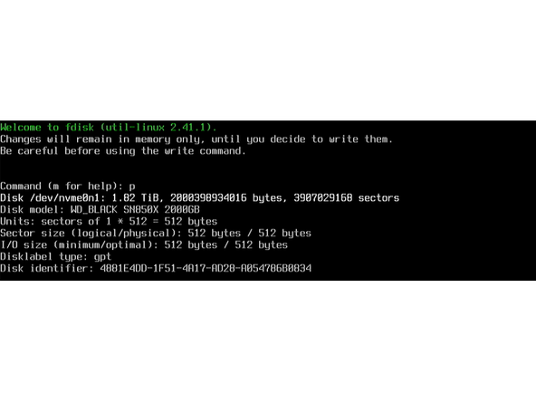 List the disks currently recognized by the system and their properties by running fdisk -l