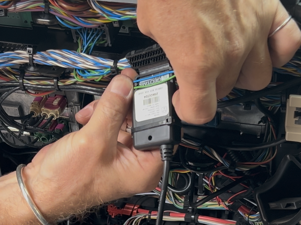 Open the clamp and insert the wires into either of the device cavities.