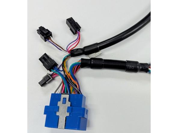 Disconnect all Molex connectors on the Geotab harness are unplugged, as shown