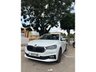 2025 - Present Skoda vehicles