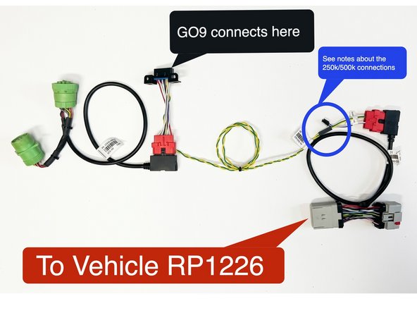 Plug GO9 into this end of the harness.