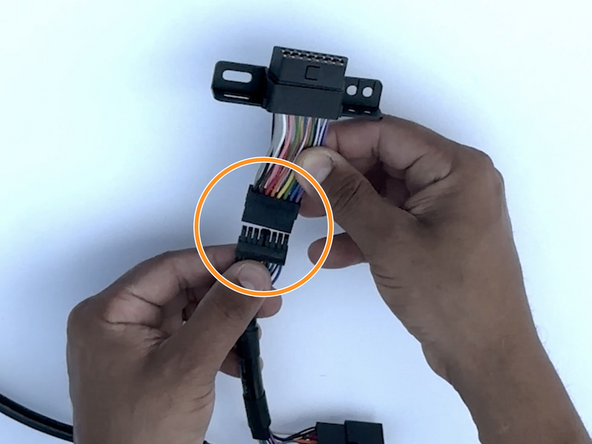 Connect the Molex connector to the T-harness.