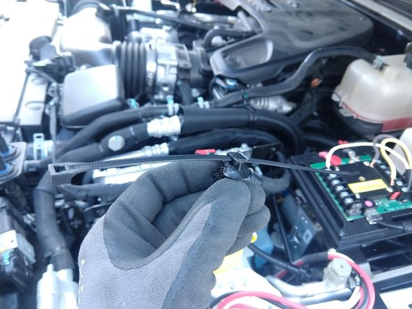 Remove the two harness clips shown. Clip the zip ties securing the harness to the clips.