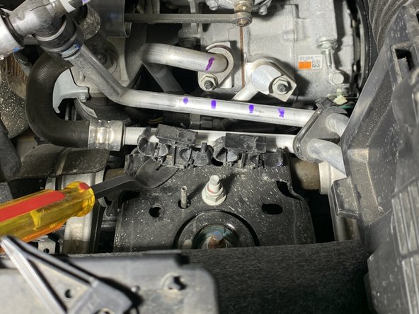 Separate the clips from the coolant lines.