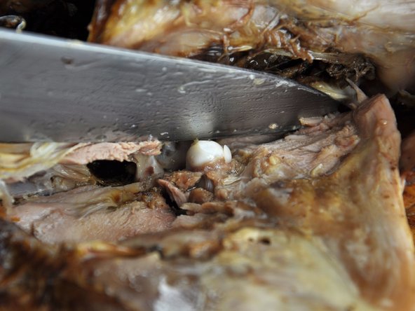 Once found, place your blade on the inside of the leg joint. Work the blade side to side, applying more pressure when you feel less resistance and until you've completely removed the leg section from the main turkey body.