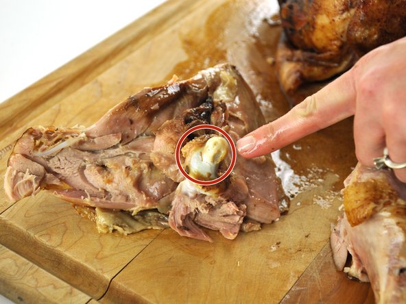 Locate the joint connecting the leg to the turkey body.