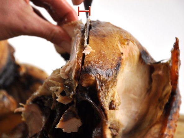 Now make a cut on the opposite side of the breast bone (approximately one centimeter) from your first cut.