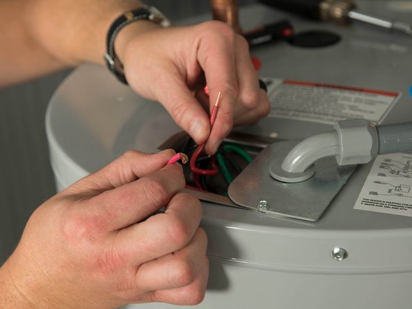 Unscrew the wire nuts connecting the water heater's service wires and home's power wires.