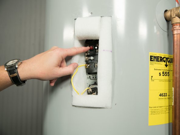 The Energy Cutoff (ECO) shuts off power to the water heater’s elements if the temperature of the water in the tank gets too hot. If the ECO has tripped, you’ll have no hot water.