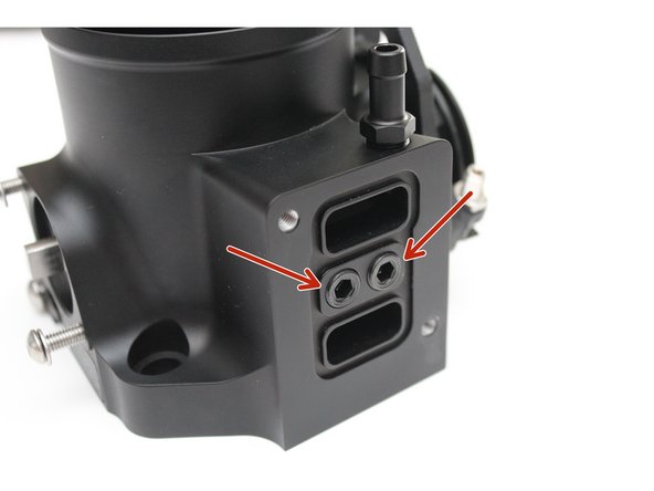 You must install and tighten the plugs in the lower IACV section, as well as the two on the mounting face of the throttle body.