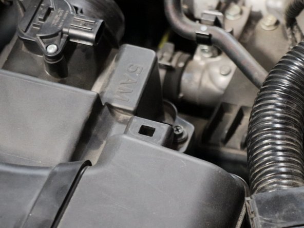 Remove the wire harness from the airbox.