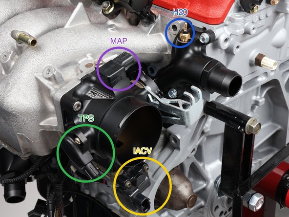 Plug in the throttle position sensor (labeled TPS, green ring) on the side of the throttle body.
