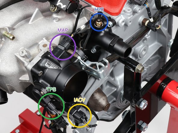 Plug in the idle air control valve (labeled IACV, yellow ring) just below the throttle body.