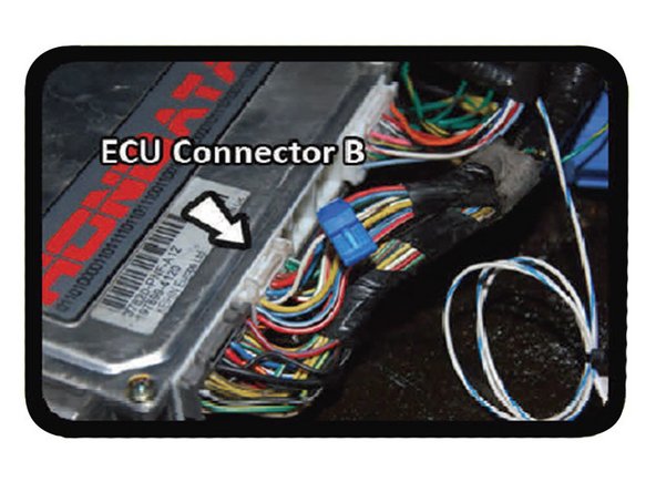 Connect the wire labeled charging light to B10 a WHT/BLU wire located on Kseries ECU CONNECTOR B using the supplied “T” taps DO NOT CUT. This wire controls the battery light on the gauge cluster.