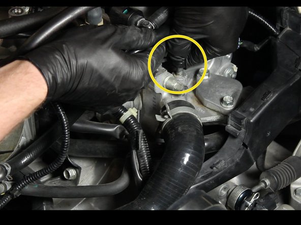 Remove the coolant hose that connects to the IACV.