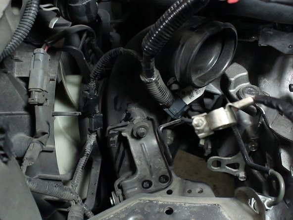 Unclip the wiring harness and move it out of the way.