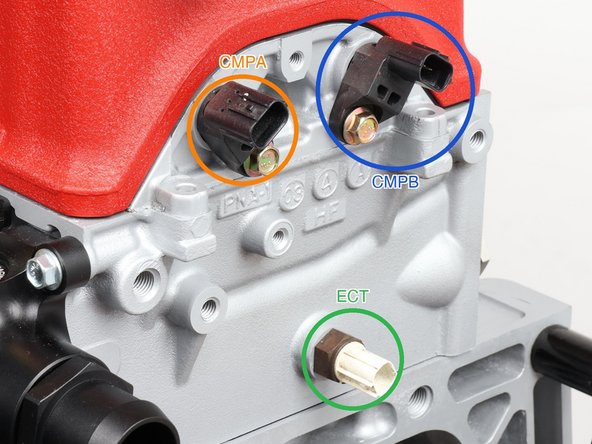 Plug in the engine coolant temperature sensor (labeled ECT, green ring) low on the end face of the head at the transmission end. This is the ECU's temperature feed; the dash gauge wire (H20) is a separate circuit in Step 7.