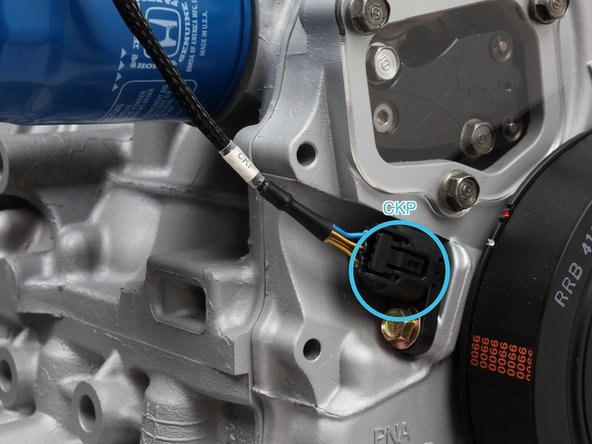 Connect the single OIL wire (labeled OIL, orange ring) to the engine oil pressure switch just above the oil filter. This one is a push-on terminal under a rubber boot, not a click-in plug.