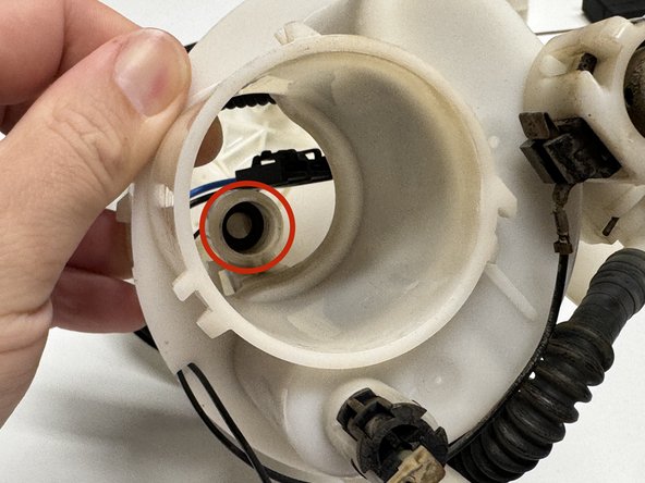 Remove the inner o-ring from the pump housing.