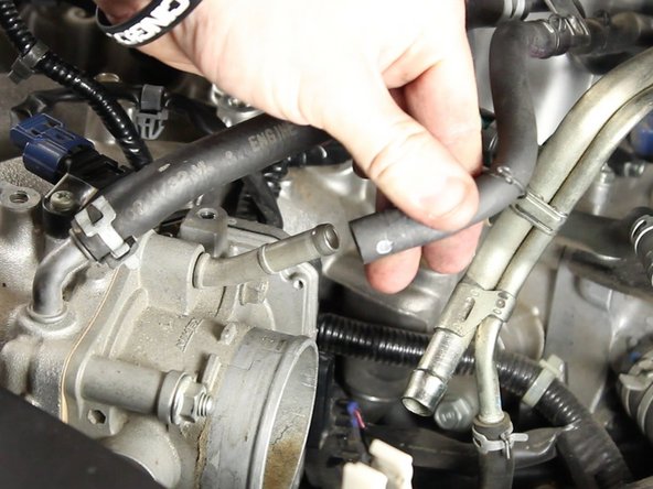 Remove the coolant lines from the throttle body.
