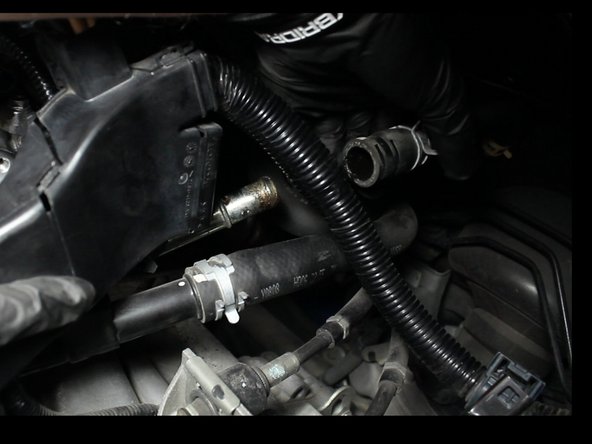 On the rear of the coolant housing, remove the heater hose.