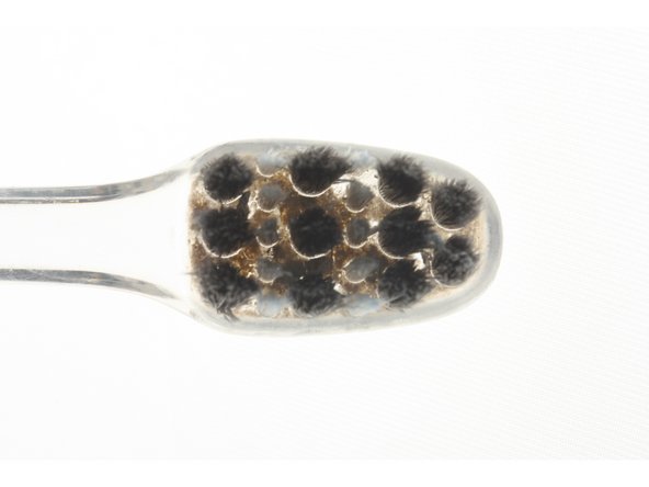 使用一段時間的牙刷，食物殘渣、殘餘牙膏成分及細菌組成的生物膜會附著在刷毛及牙刷底部