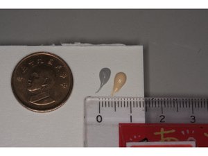 如何調拌Apex Seal