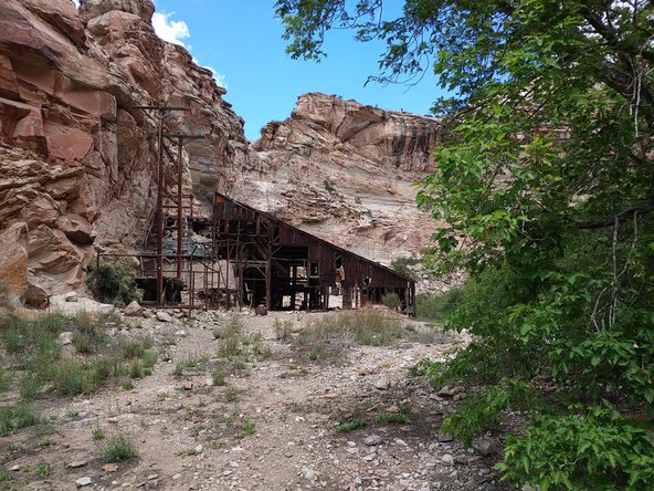 Photo progression: color, unedited black and white, the final photo was edited exactly in this guide to bring out more detail.