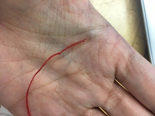 Form a loop and create an overhand knot.