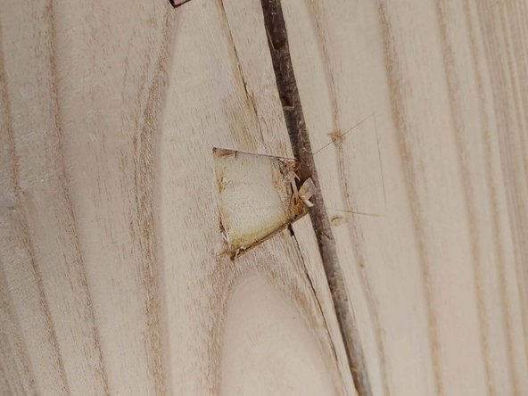 Clean up the edges and bottom They will be rough from having grain torn from them, but you can make them very clean, you wont need the mallet for this, hand power will be plenty with sharp chisels.