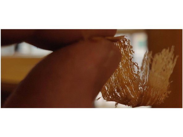 Begin adjusting the iron down on your full length passes a small increment (1/8 turn or less) at a time until it begins to cut small shavings. The plane won’t cut the entire length of the board, it will only cut high spots, this is exactly what you want!