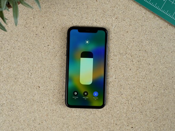 Turn the phone on and check that true tone is visible on the brightness menu.