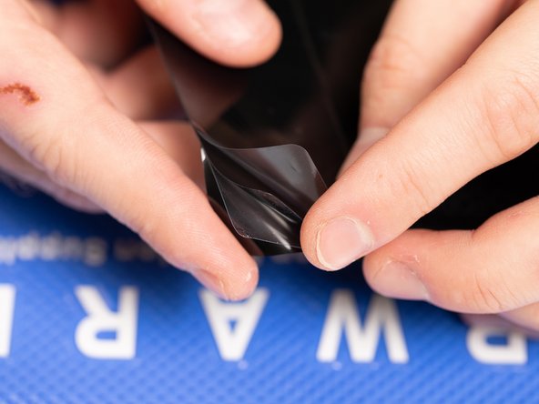 Once your have your privacy film cut you can remove it from the backing sheet.