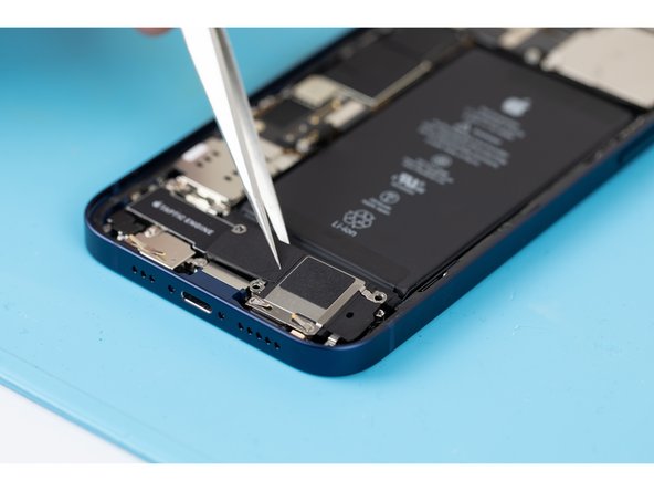 Use a pair of tweezers or your fingers to remove the loudspeaker.