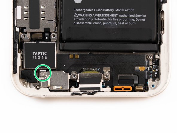 Using a screwdriver, remove the one screw securing the taptic engine.
