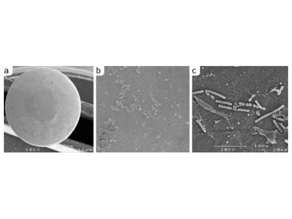 Resolution the SEM is determined by the size of the incident beam.