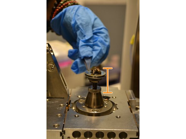 Using tweezers, place the lower, extruding portion of the SEM sample stub into the open portion of the sample stage.