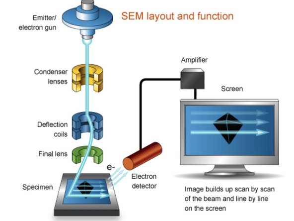 Electron Gun: Source of the electron beam which is accelerated down the column.